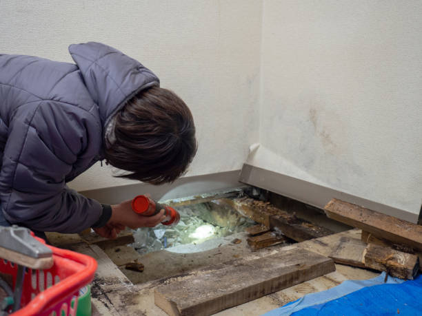 Best Environmental Consulting for Mold Prevention  in Royal Kunia, HI