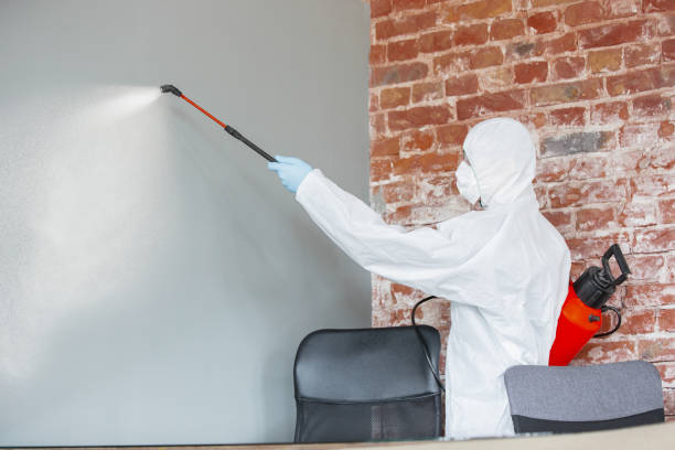 Best Water Damage & Mold Remediation  in Royal Kunia, HI