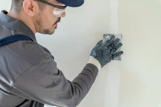Best Black Mold Removal  in Royal Kunia, HI