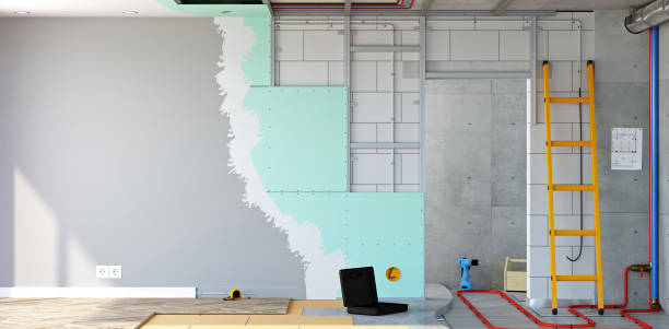 Professional Mold Removal in Royal Kunia, HI